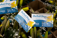 Daffodil Days 2026